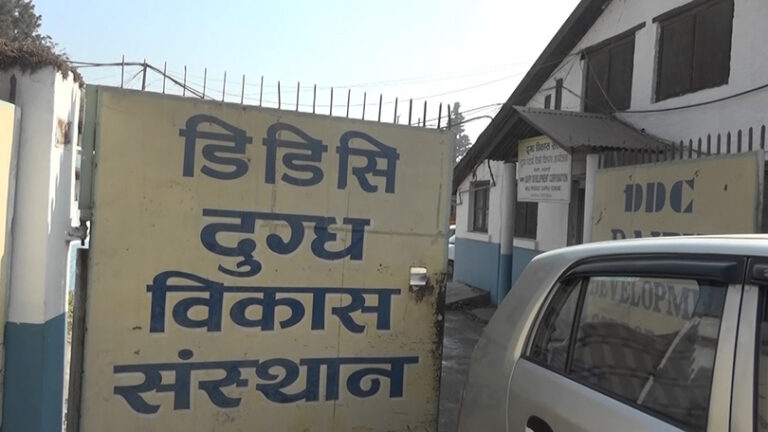 ‘दैनिक ८५ हजार लिटर वृद्धि गरी एक लाख ५० हजार लिटर दूध सङ्कलन गर्ने डिडिसीको लक्ष्य’